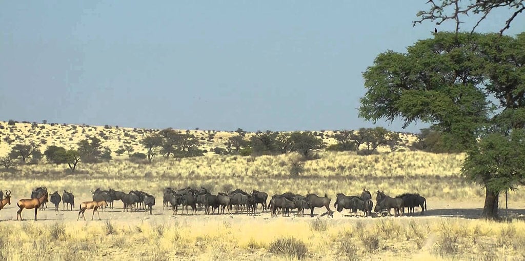 grootkolk_kgalagadi
